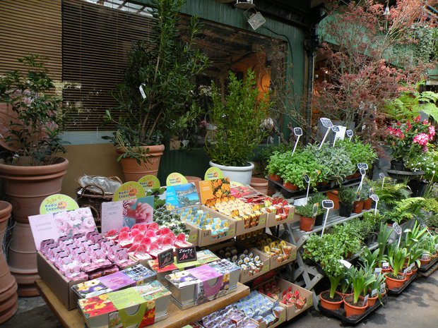  plantes et fleurs